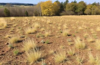 Дарение земельного участка нюансы сделки